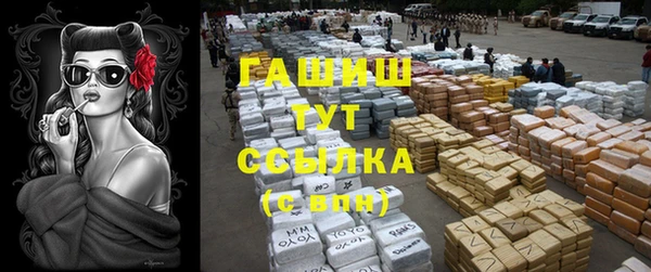 прущие грибы Алексеевка