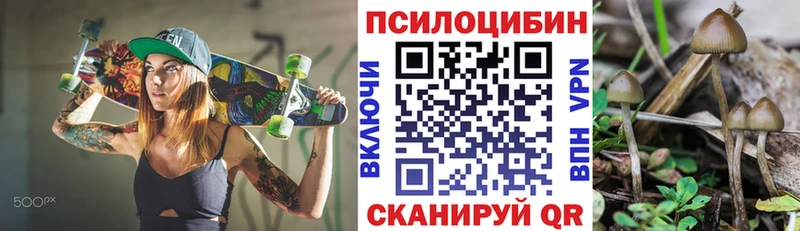 hydra как войти  Кингисепп  Псилоцибиновые грибы MAGIC MUSHROOMS 