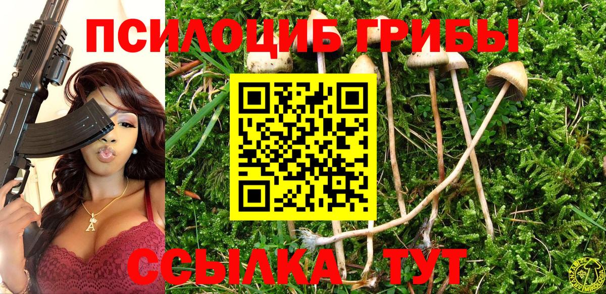 Конопля Кингисепп