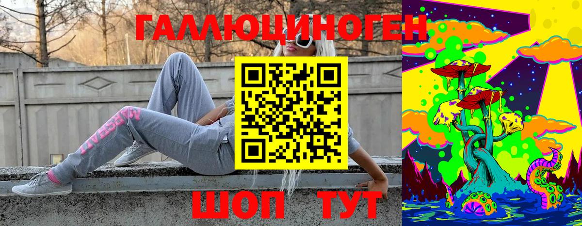 Галлюциногенные грибы Psilocybe Кингисепп