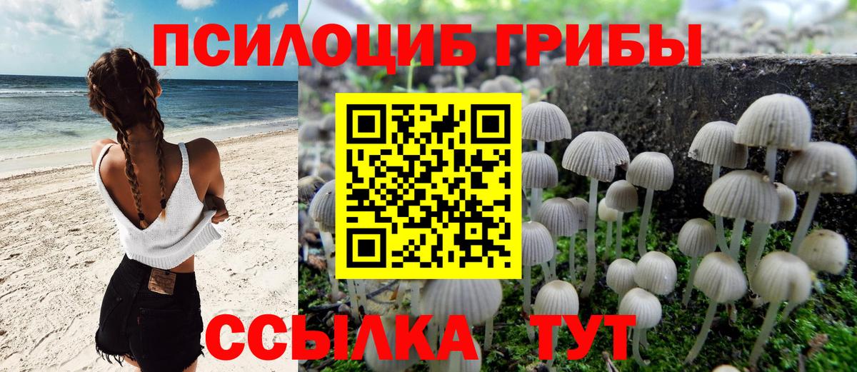 Кингисепп  Псилоцибиновые грибы прущие грибы  наркота  Вход с VPN 